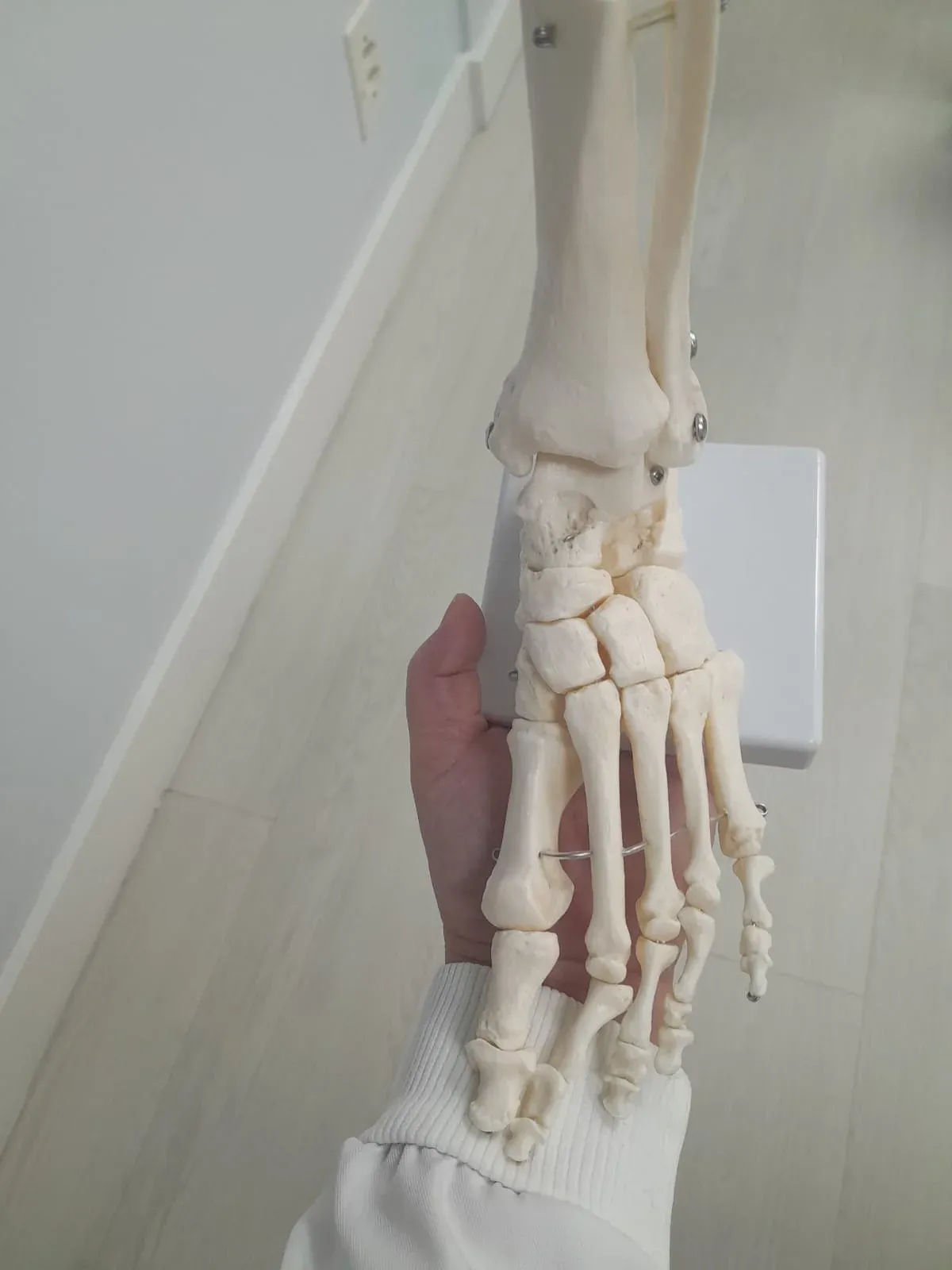 Clínica de podologia em Joinville, Iza Pinz: cuidados com os pés (2)